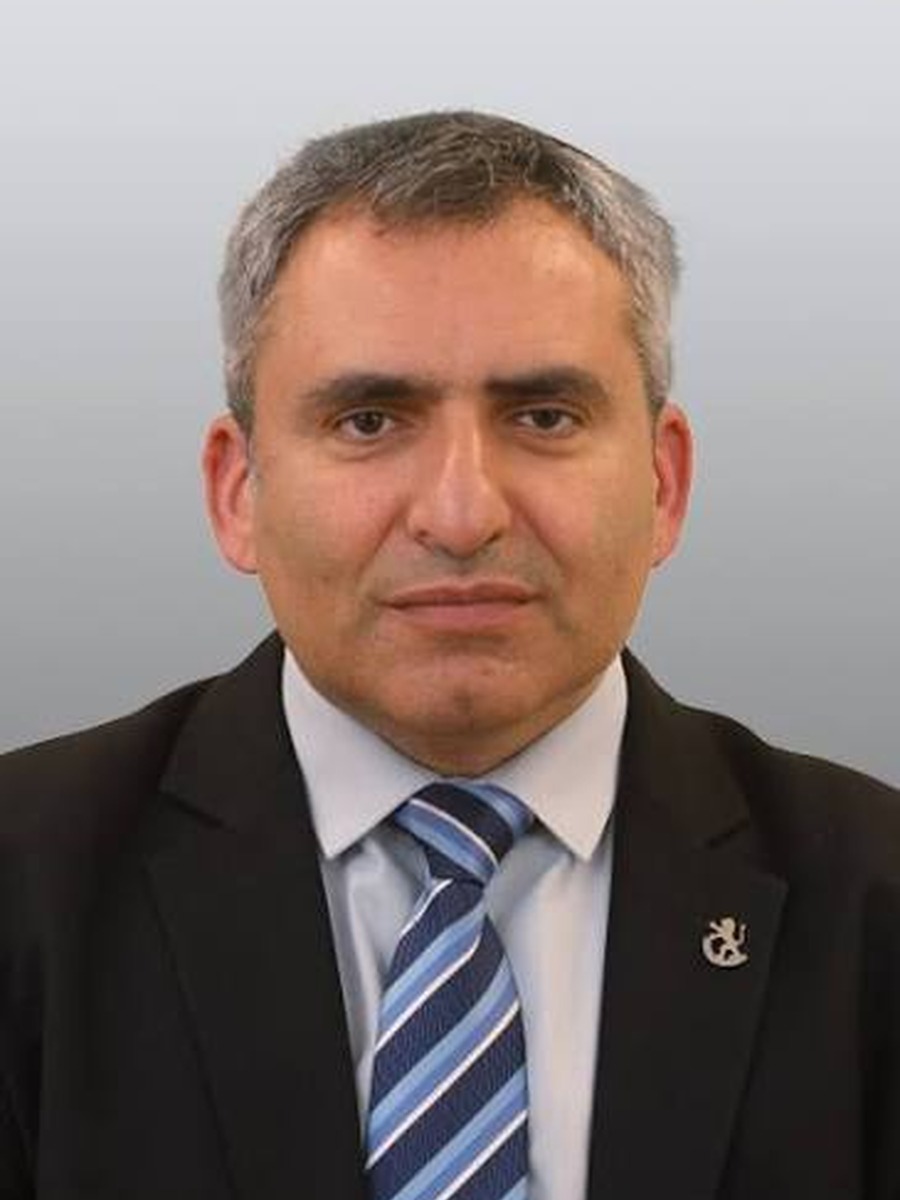זאב אלקין